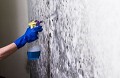 Mold Experts of Naperville