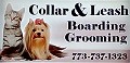 Collar & Leash Pet Hotel & Grooming